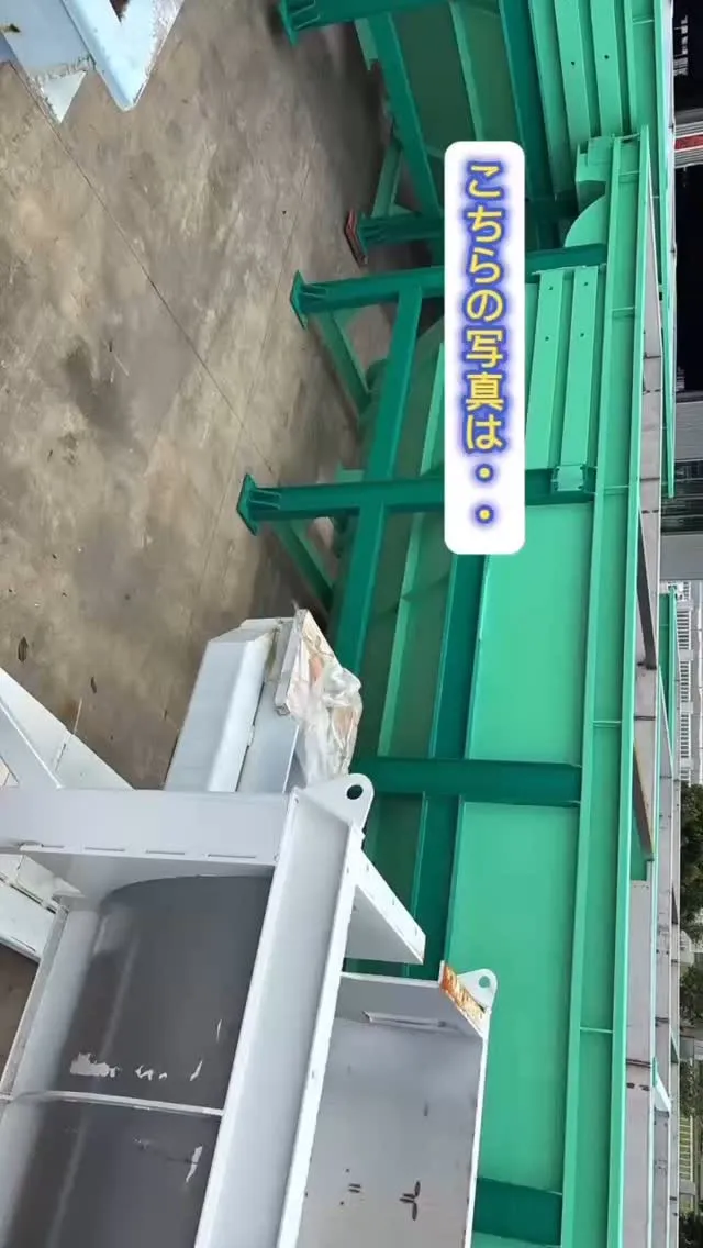 選別ラインの一部✨