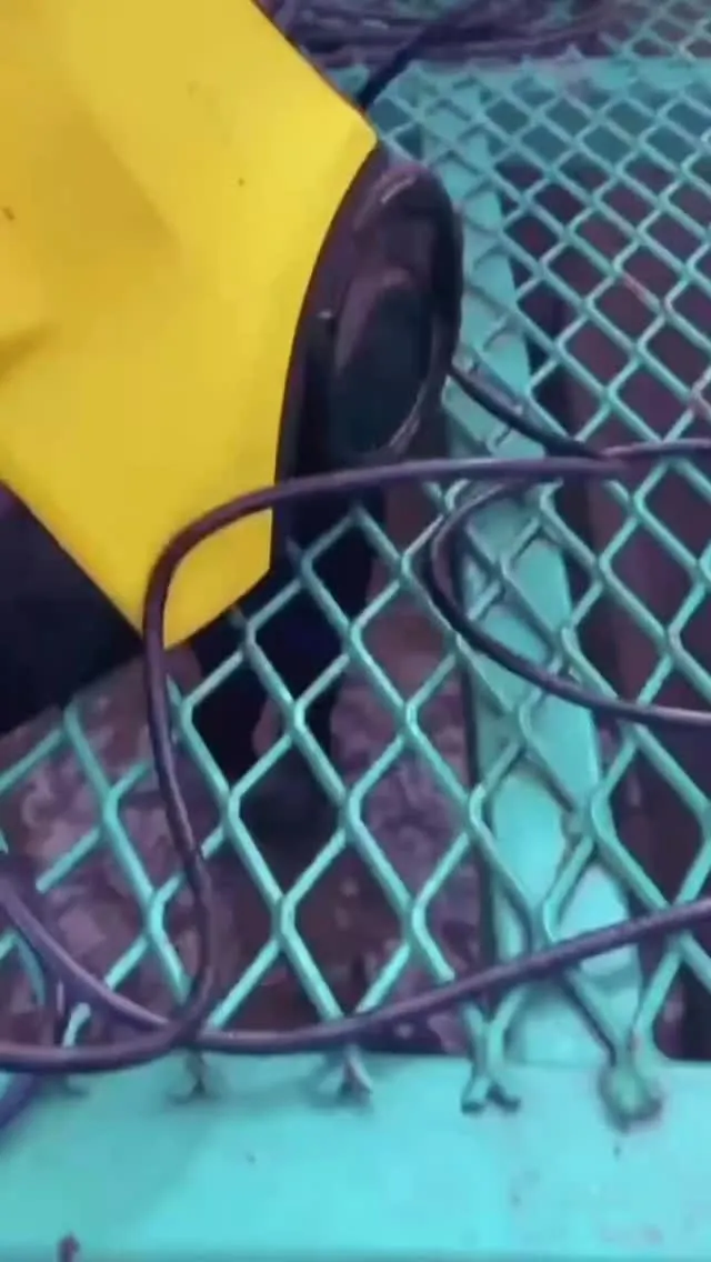 貯水槽のクリーニング 🧽✨