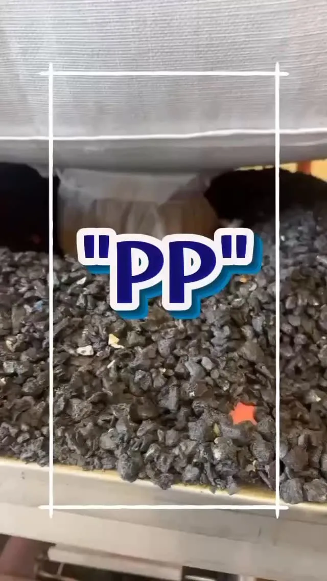 PP