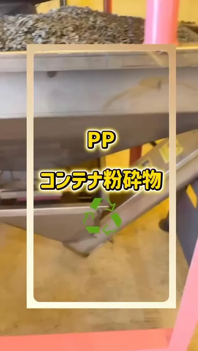 PP
