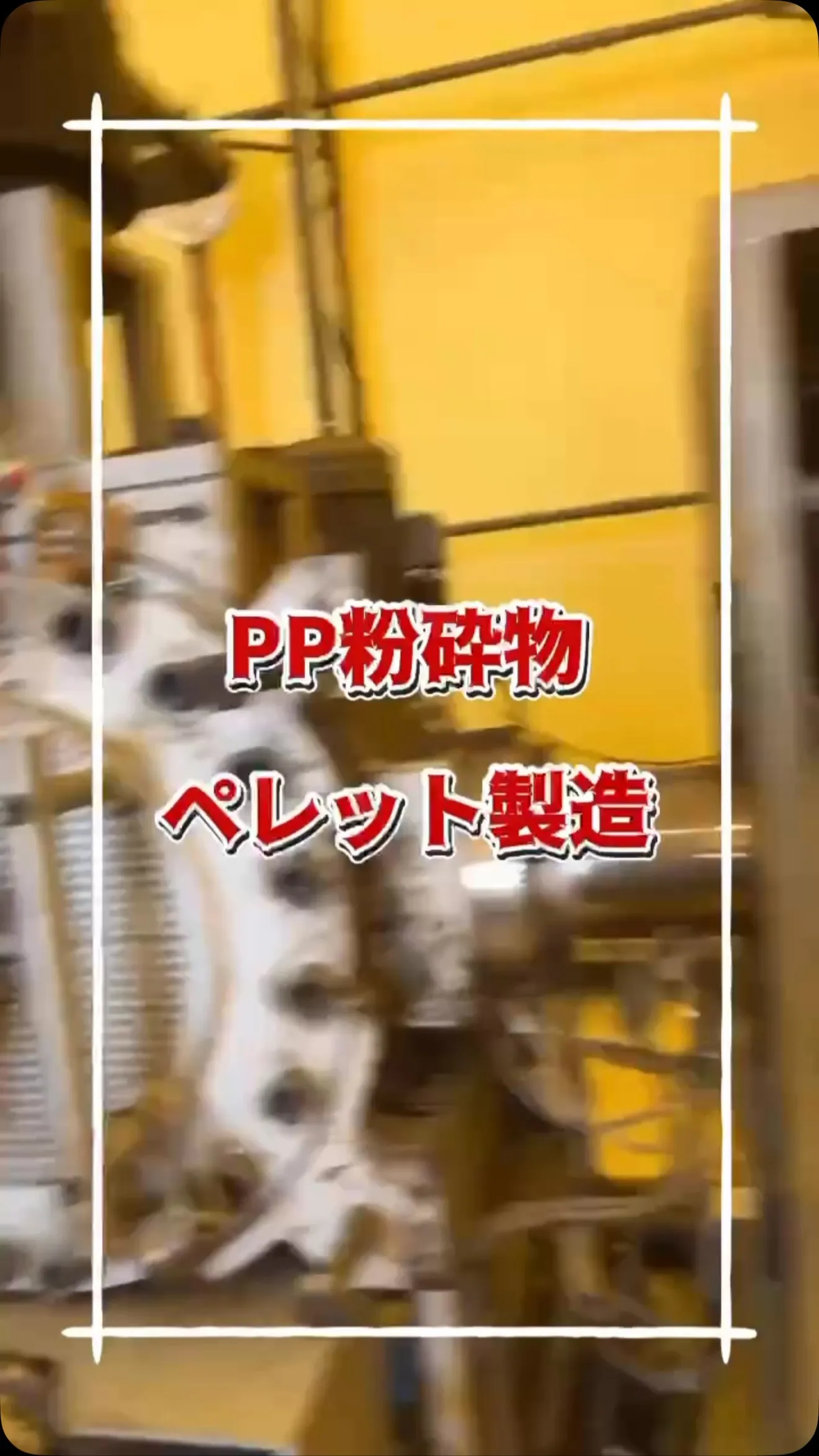 PP粉砕物