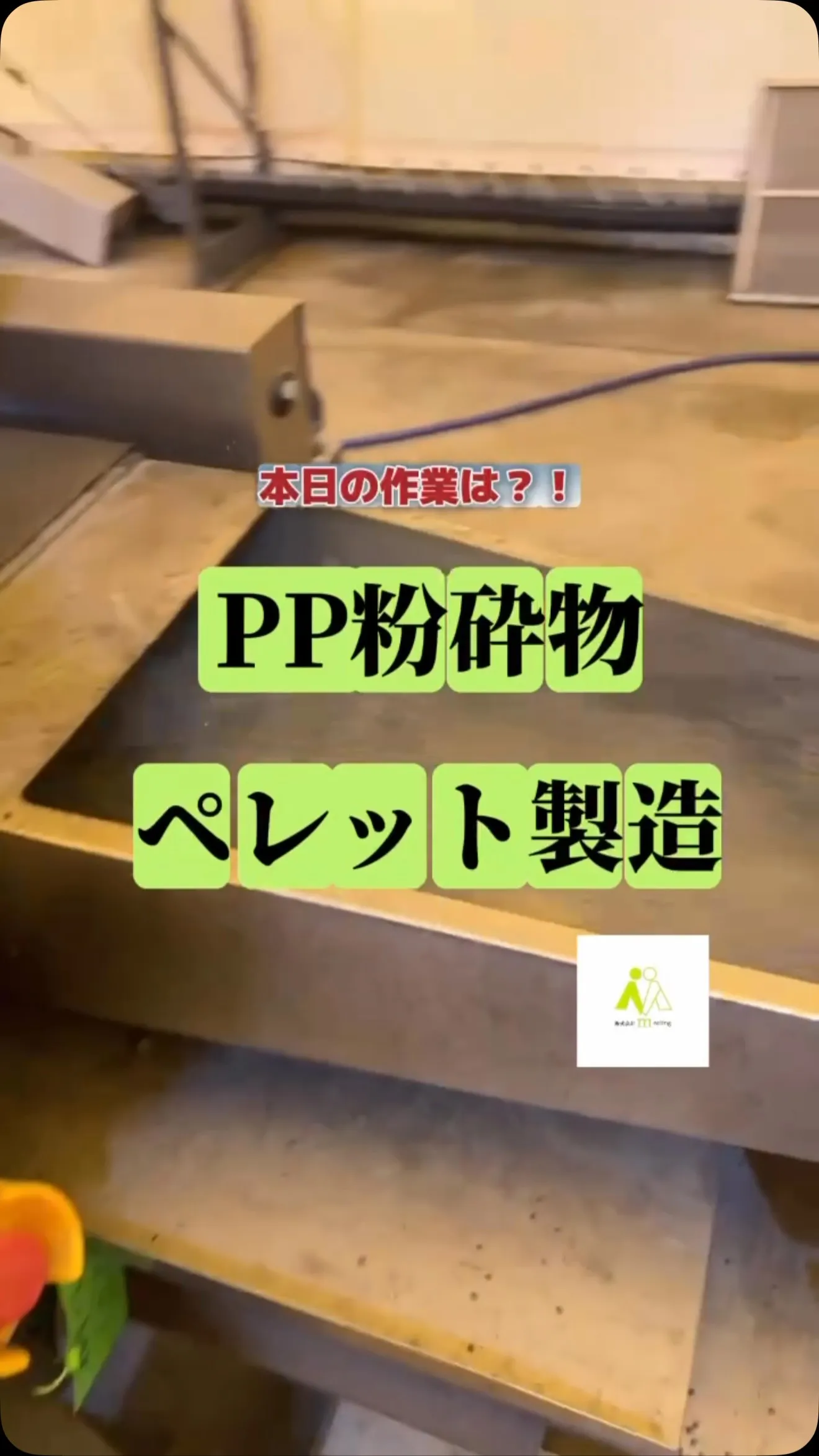 PP粉砕物